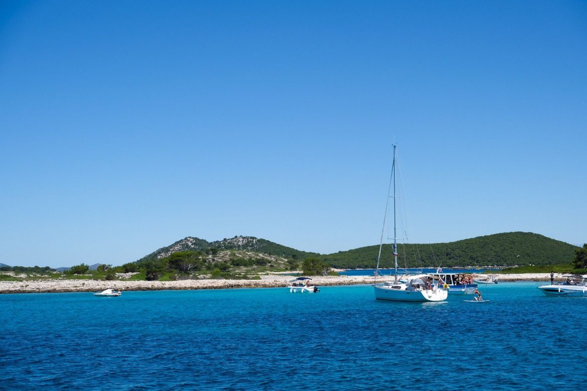 Dolphing Watching Murter 15