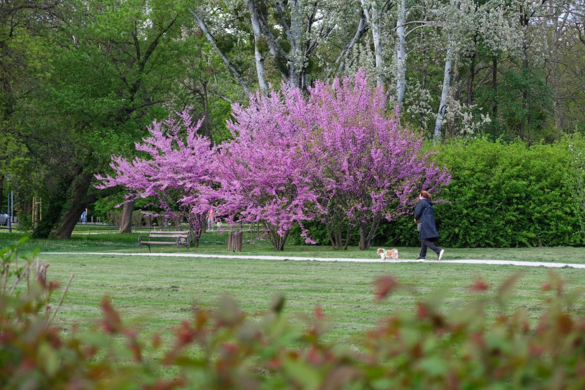 Zagreb Maksimir 2